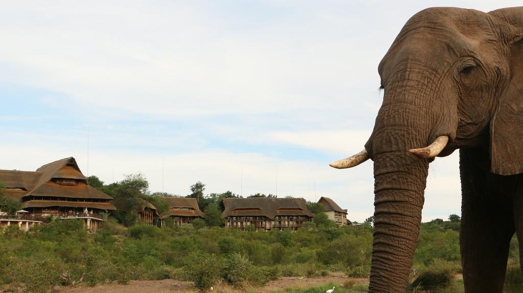 Victoria Falls Safari Suites Exterior photo