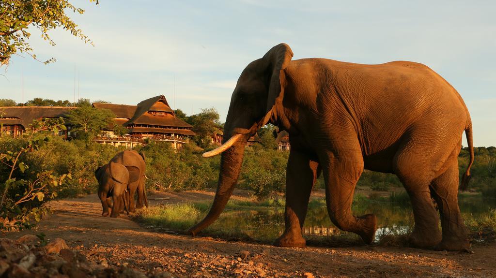 Victoria Falls Safari Suites Exterior photo